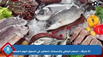 81 جنيهًا.. أسعار البلطي والأسماك تنخفض في السوق اليوم الجمعة